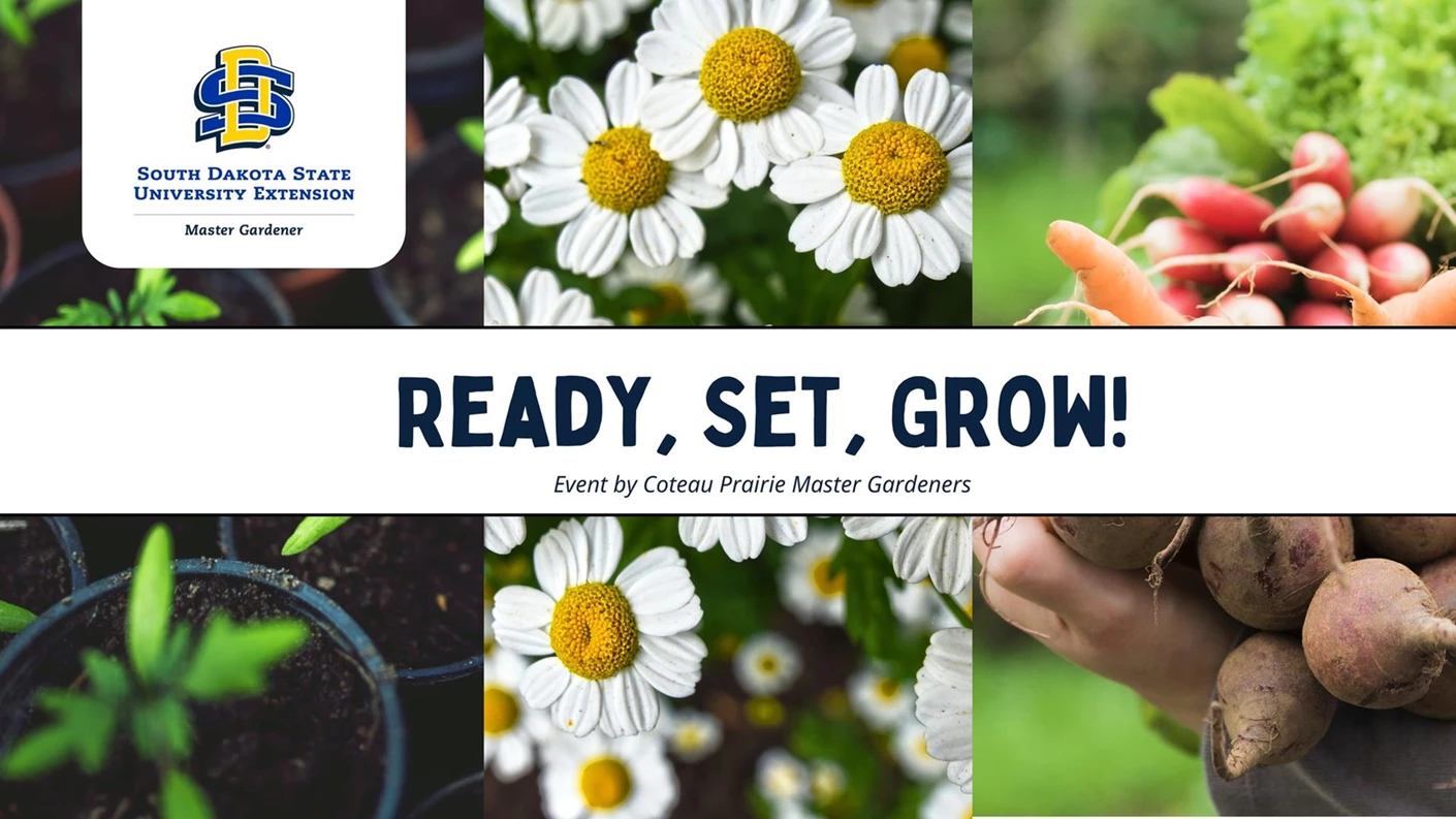 image showing what's happing on Ready, Set, Grow!